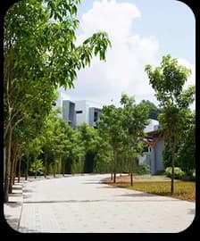 Campus path